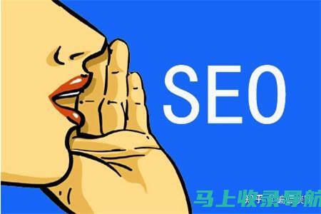 站长如何运用SEO技巧提升网站流量，进而实现盈利？赚钱实战经验分享